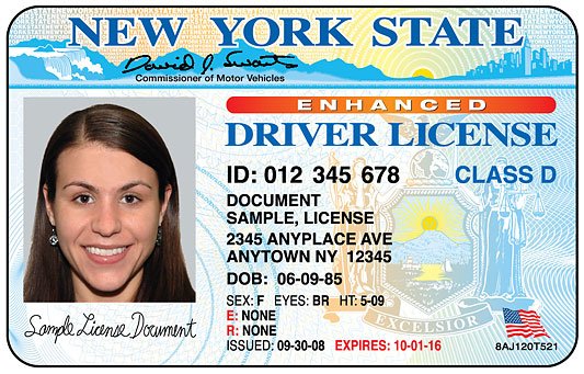 DRIVER’S LICENSE